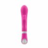 products bswish bwild raspberry front